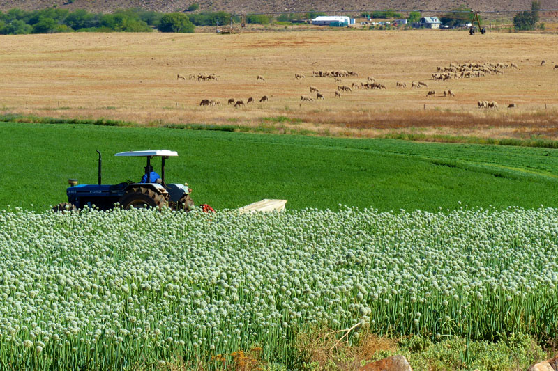 South Africa